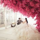 mi.wed00さんのアイコン画像