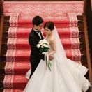 y.t.wd29さんのアイコン画像