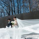 y_____n13さんのアイコン画像