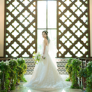 shiii_o89さんのアイコン画像