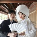 momomo_wdさんのアイコン画像