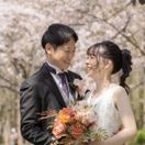 ___kotaaan___さんのアイコン画像