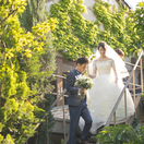 o6htm_wdさんのアイコン画像