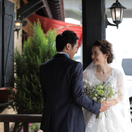 tanenome_antiqueさんのアイコン画像