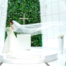 icochicoさんのアイコン画像