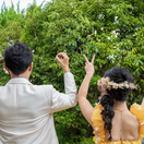 tom___1014weddingさんのアイコン画像