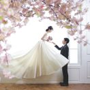 ____k.diaryさんのアイコン画像