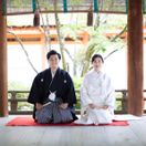 arko_wdさんのアイコン画像