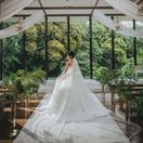 Reiさんのアイコン画像