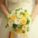 pntdmskさんのアイコン画像