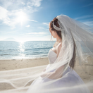 y_weddinggさんのアイコン画像