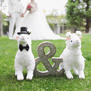 ayu_wedding0428さんのアイコン画像