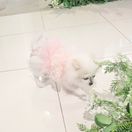 ゆきちさんのアイコン画像