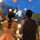 miho_wd0303さんのアイコン画像