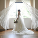 kn.wd_さんのアイコン画像