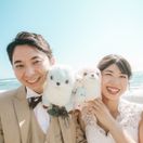 aoi_taich_0925さんのアイコン画像