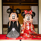 a_n_0127wdさんのアイコン画像