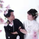 mywedding0831_ambさんのアイコン画像