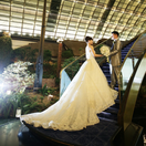 ho_naaaminnさんのアイコン画像