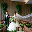 bob.weddingさんのアイコン画像