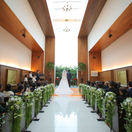 hashiraさんのアイコン画像