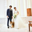 __sy87__さんのアイコン画像