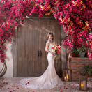 Ayanoさんのアイコン画像