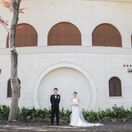 wd____koishiさんのアイコン画像