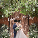 chiaki_wedding1207さんのアイコン画像