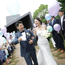 htot_yrk_wdさんのアイコン画像