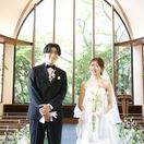 saae38_wdさんのアイコン画像