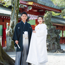 yomechan.nokoさんのアイコン画像