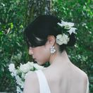 Aoiさんのアイコン画像