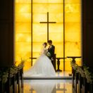 mimosa_wedding1103さんのアイコン画像