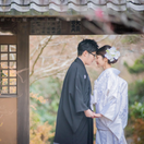 saori___dartsさんのアイコン画像