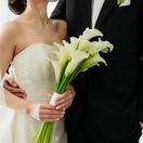 am_wd__さんのアイコン画像