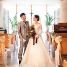 tashi_wdさんのアイコン画像