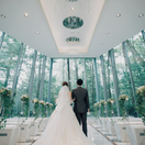 hy0502wdさんのアイコン画像