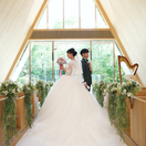 canchan_xoxoさんのアイコン画像