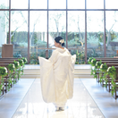 mk_wd_1212さんのアイコン画像