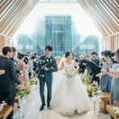 tomo-kao-puririさんのアイコン画像