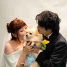 __atsunoz.wd__さんのアイコン画像