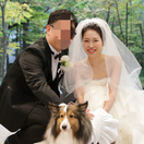 momo_sheltie3さんのアイコン画像