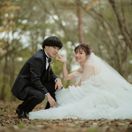 ringochan_narikeriさんのアイコン画像