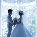 eri_wedding0112さんのアイコン画像