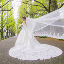 しいかさんのアイコン画像