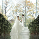 i_megum_iさんのアイコン画像