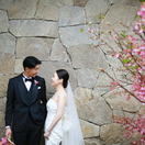 wd___03さんのアイコン画像