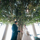 AYA🌿さんのアイコン画像