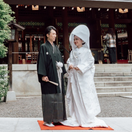 poco__wdさんのアイコン画像